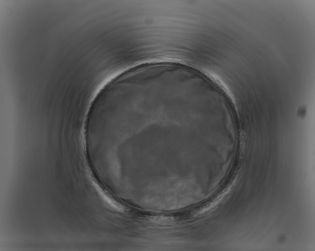 X0000094340789200711241851