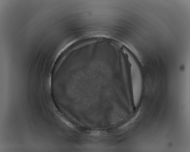 X0000094340790200711241851