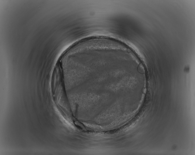 X0000094340791200711241851