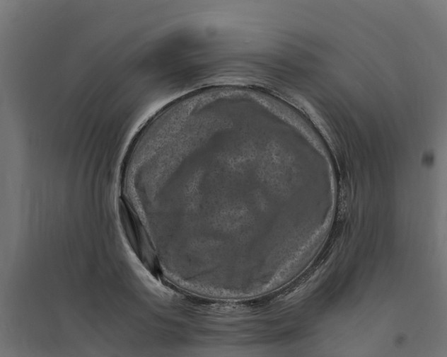 X0000094340795200711241851