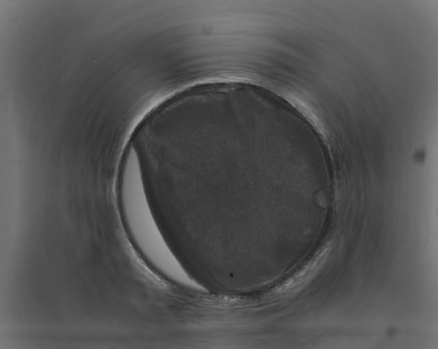 X0000094340797200711241851