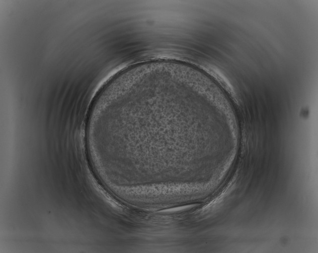 X0000094340798200711241851