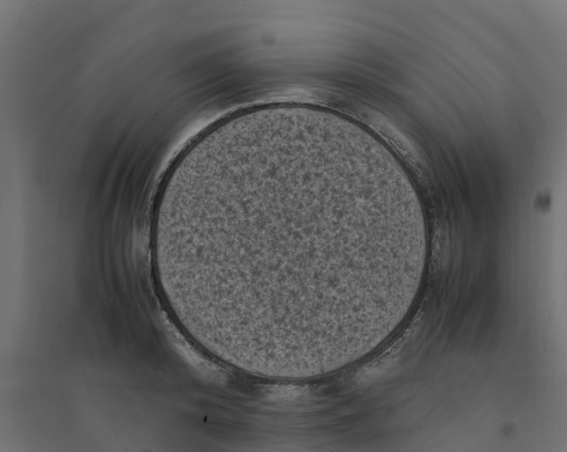 X0000094340800200711241851