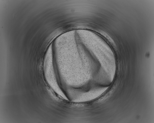 X0000094340801200711241851