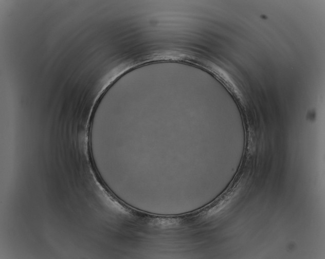 X0000094340802200711241851