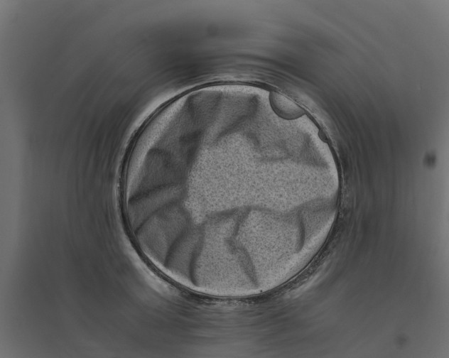 X0000094340803200711241851