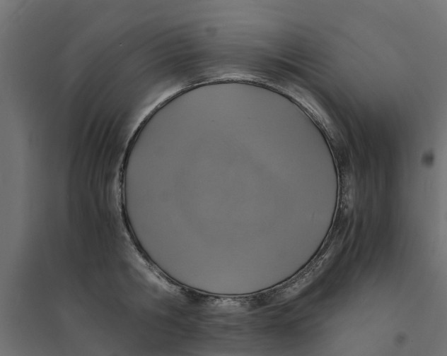 X0000094340806200711241851