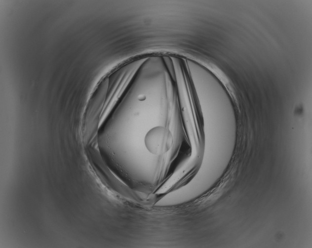 X0000094340807200711241851