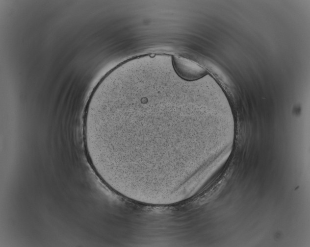 X0000094340808200711241851