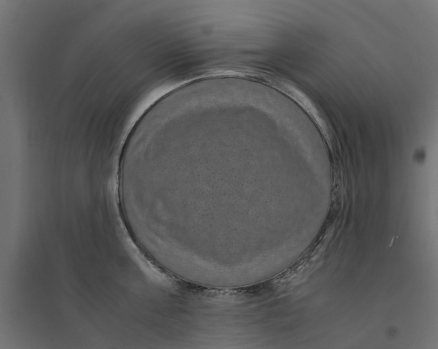 X0000094340811200711241851