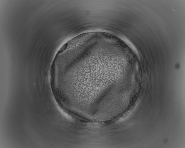 X0000094340813200711241851