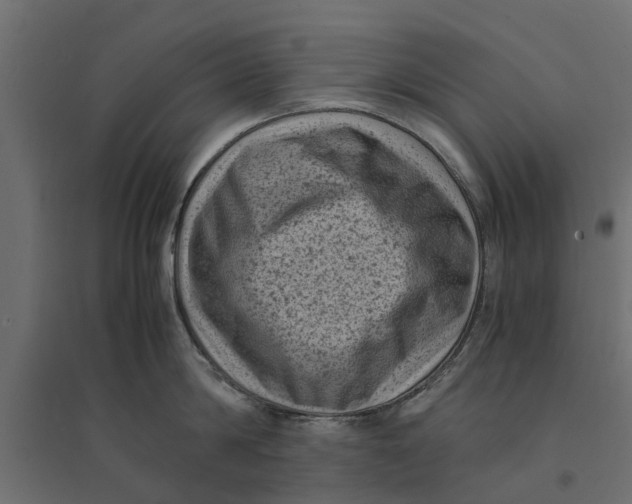 X0000094340814200711241851