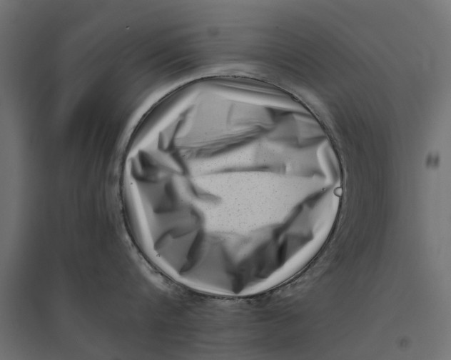 X0000094340816200711241851