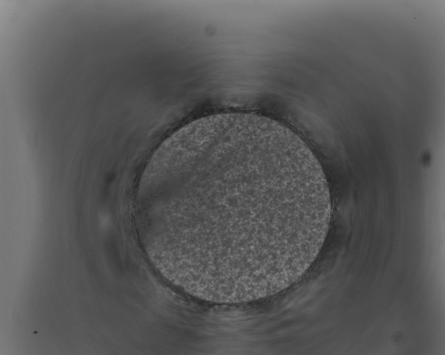 X0000094340817200711241850