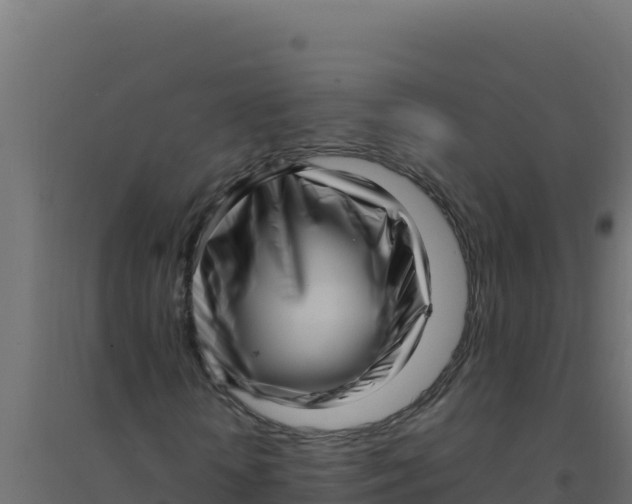 X0000094340818200711241850