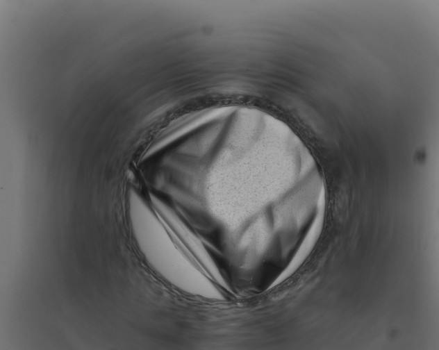 X0000094340821200711241850