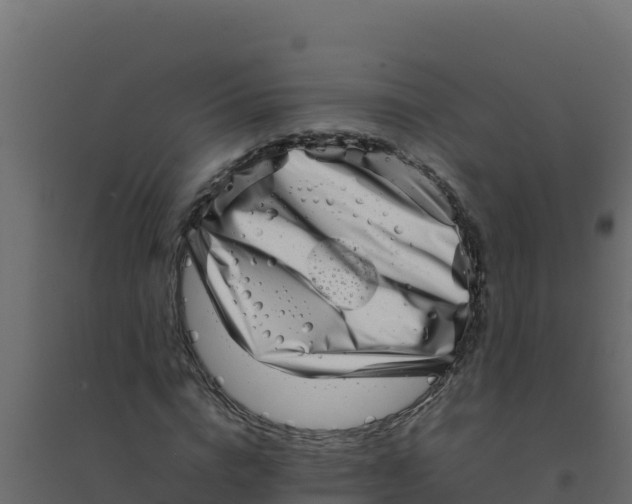 X0000094340824200711241850