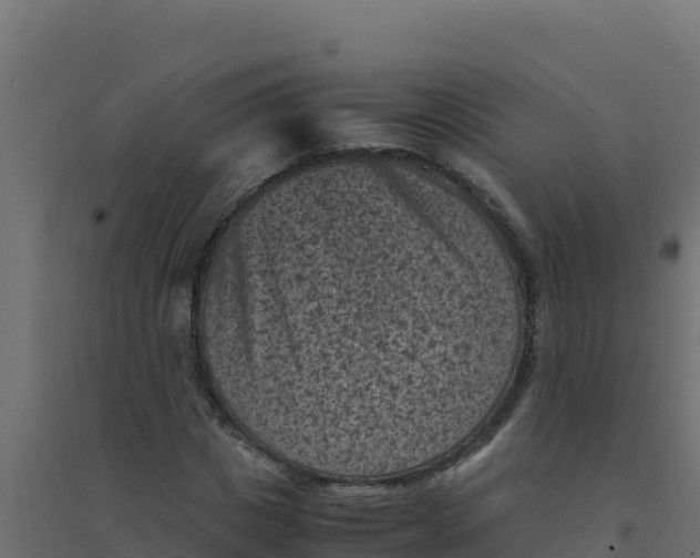 X0000094340825200711241850