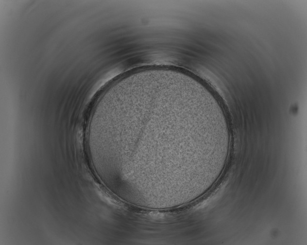 X0000094340827200711241850