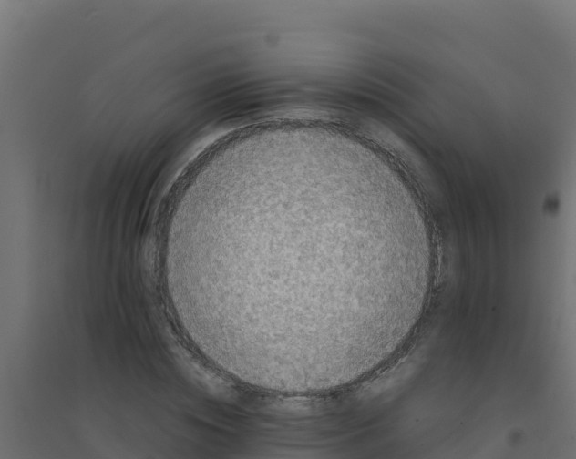 X0000094340828200711241850