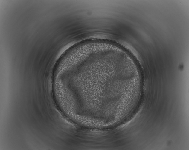 X0000094340829200711241850