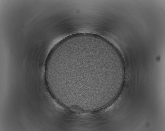 X0000094340831200711241850