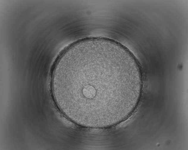 X0000094340832200711241850