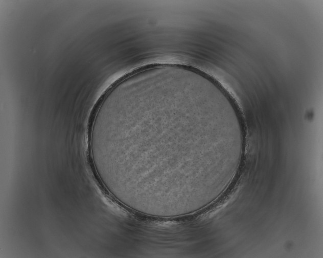 X0000094340837200711241850