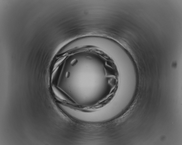 X0000094340838200711241850