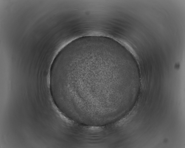 X0000094340839200711241850