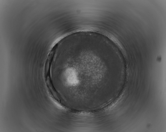 X0000094340842200711241850