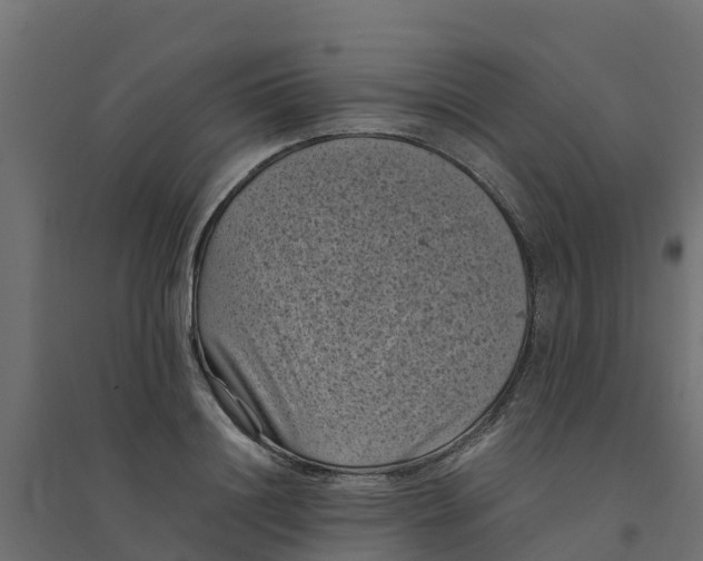 X0000094340844200711241850