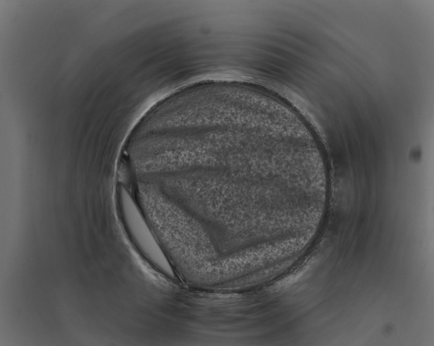 X0000094340845200711241850