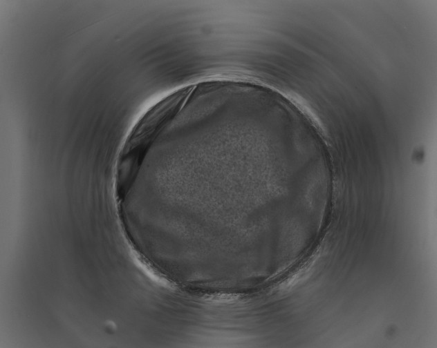 X0000094340846200711241850