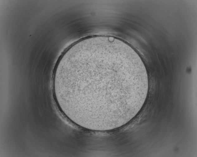 X0000094340848200711241850