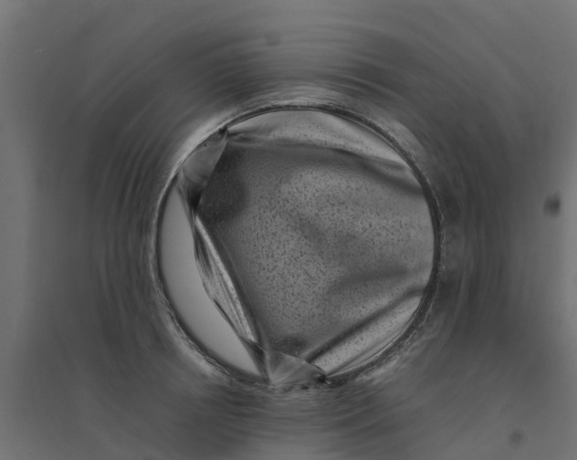 X0000094340850200711241850