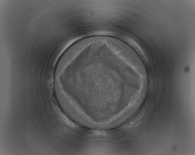 X0000094340852200711241850