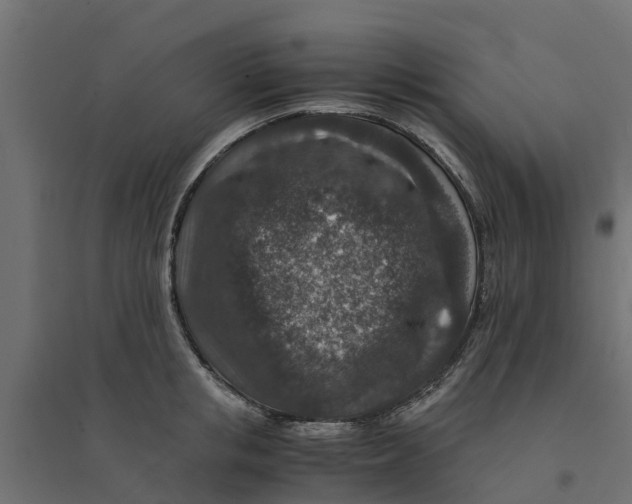 X0000094340853200711241850