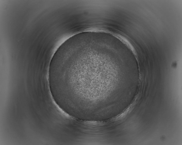 X0000094340855200711241850