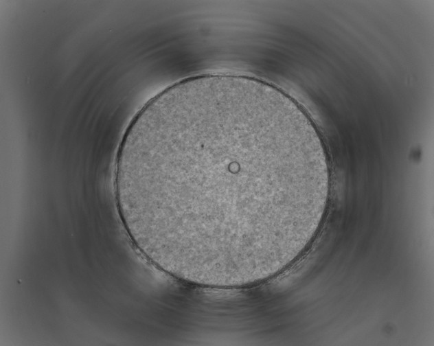 X0000094340856200711241850