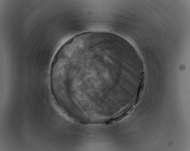 X0000094340864200711241851