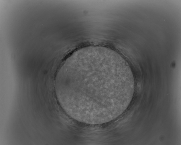 X0000094340865200711241850