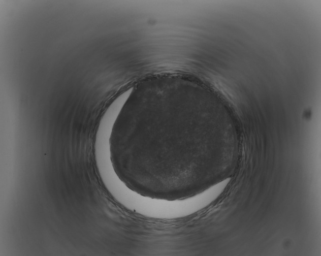 X0000094340868200711241850