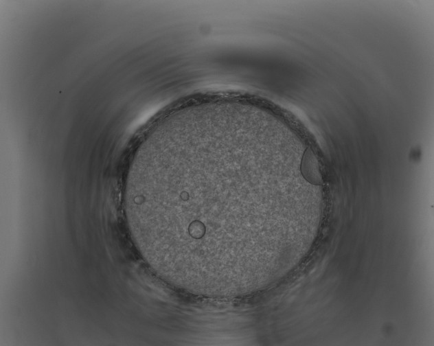 X0000094340871200711241849