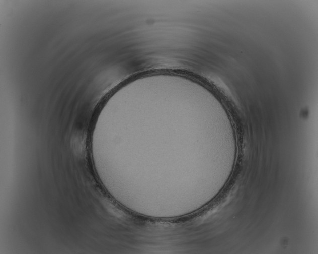 X0000094340873200711241849