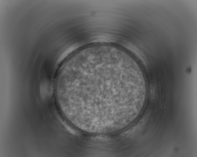 X0000094340874200711241849