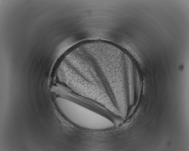 X0000094340876200711241849