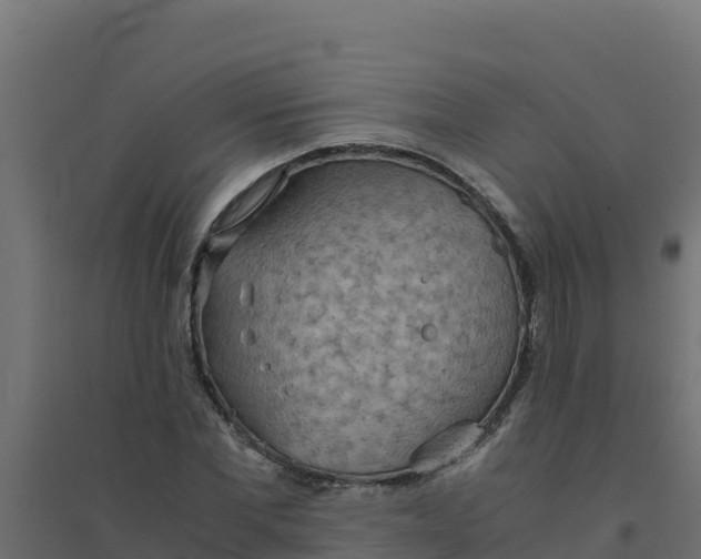 X0000094340877200711241849