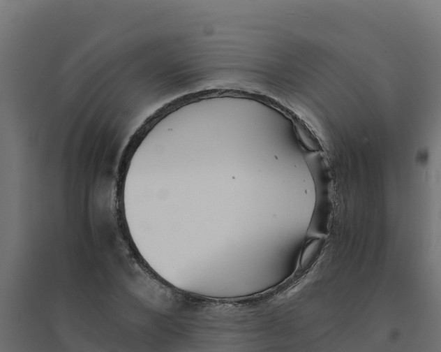 X0000094340880200711241849