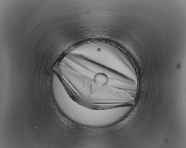 X0000094340881200711241849